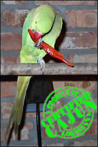 Pretty Bird welcomes you to Lafourche.com